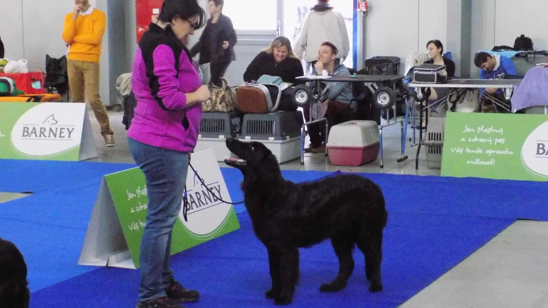 3. Expo Dog Praha 1.11.2015